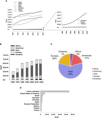 Alterations in energy balance and the antioxidant system due to heat stress: focus on animal production